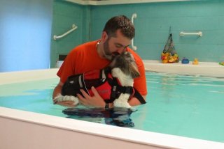 Swimming Lesson