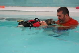 Swimming Lesson